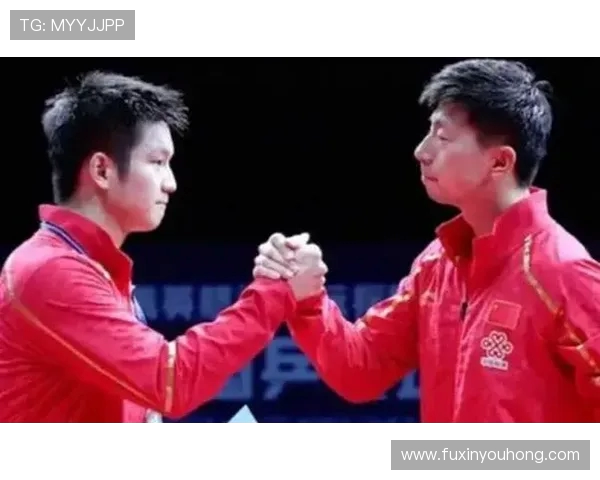 乒乓球专题:深入探讨北京乒乓球队的默契配合与战术协作